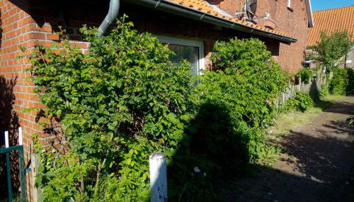 Lüttje Teihn - Foto 4