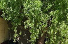 Home sweet Home - Photo 31