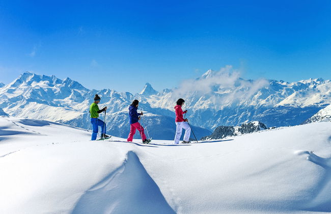 Aragon P36 - Foto 66