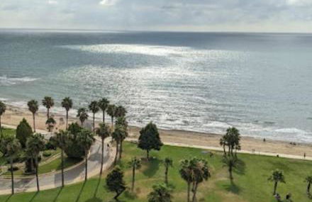 Mondrian Magic World - sea view first line of the beach - Photo 50