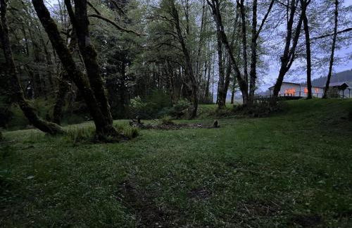 A Relaxing Getaway-A Backwoods Cabin SolDuc River - Foto 29