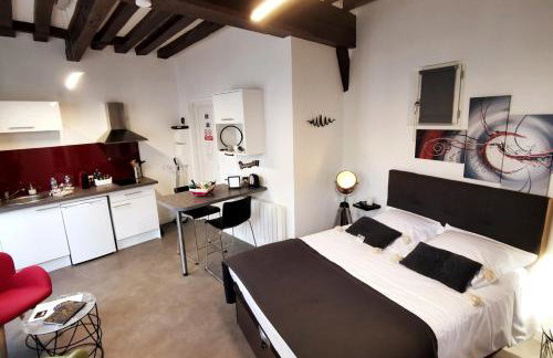 Le Saint-Aignan, centre, Parking à tarif préférentiel, 3 étoiles - Foto 32