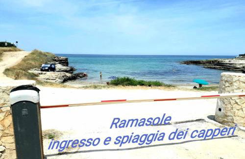 Ramasole - Foto 57