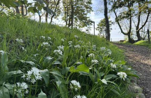 The Farmhouse - Foto 35