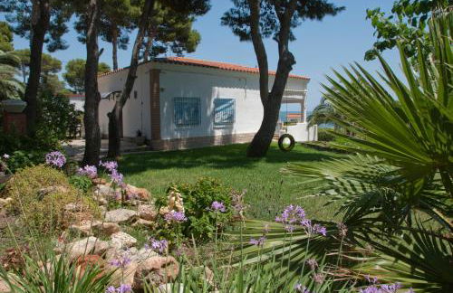 Sargantana Blava - Foto 64