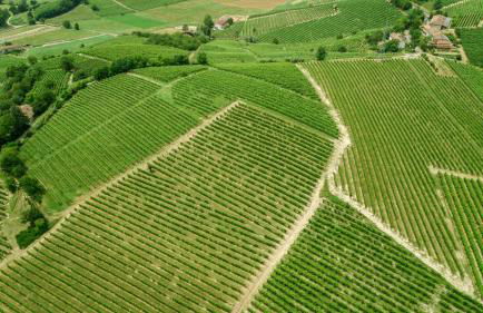 Agriturismo Relais "il Bricco" - Foto 57