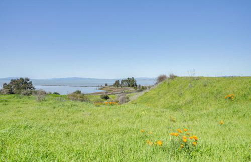 Luxe Bay View Home Near SF, Berkley and Napa Valley - Foto 37