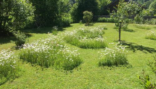 Am Schlierbach - Foto 3