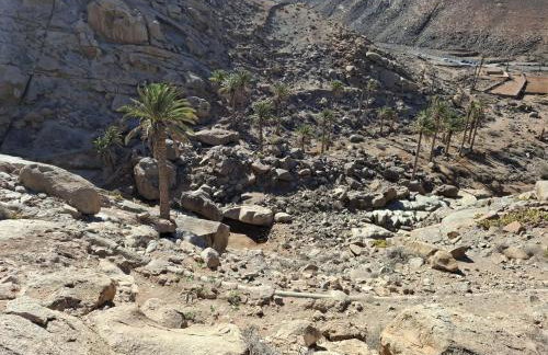 Casa Mario Ocean View - Foto 28