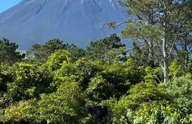 Casa 3 Picos 1 - Photo 36