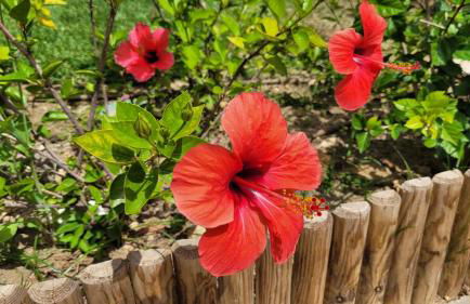 Mi casita playera - Foto 51