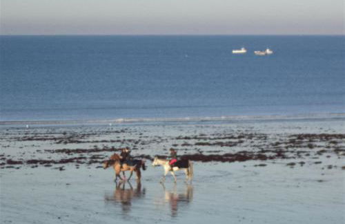 Maison de vacances à Créances - Foto 40