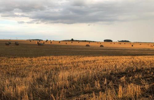 An der Stadtmauer Bürgel - Foto 20