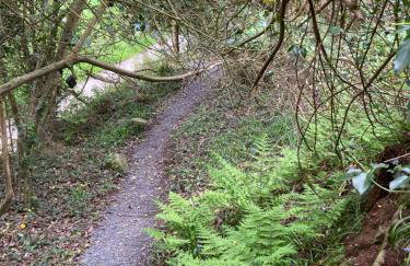 The Shepherds Hut - Foto 5