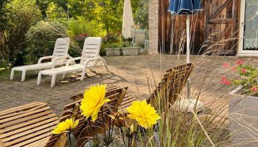 Casa delle Arti Fattoria dei fiori - Foto 4, Garden