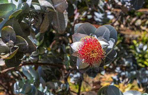 Casa Mi Arcadia - Foto 26