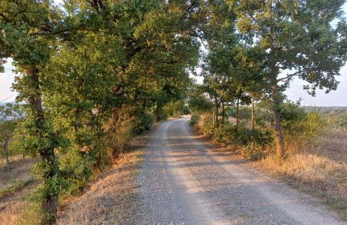 Agriturismo La Bulletta - Foto 68