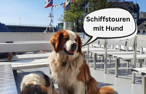 Hundeurlaub im Tiny House im Wald - Foto 18