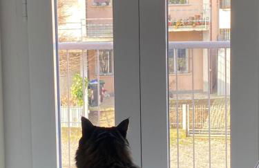 Apartment Rino 1 Caorso - Photo 21