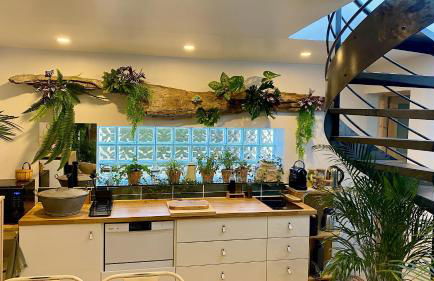 Tropical Lodge SPA Narbonne - Foto 9