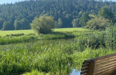Idyllische Ferienwohnungen in Mossendorf Blick zur Naab - Foto 37