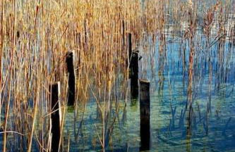 Magnifique Apt à deux pas du lac et près du centre - Foto 25