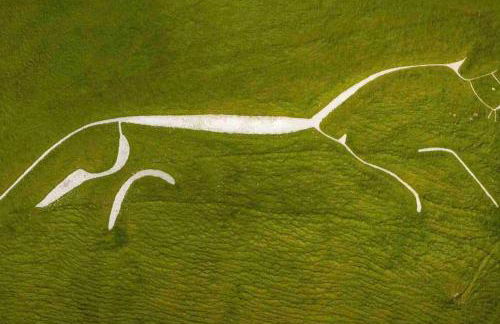 Oxfordshire Country Cottage - Foto 80