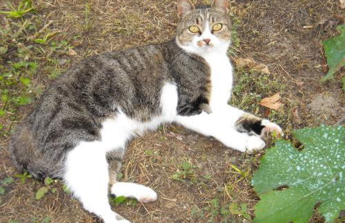 Agriturismo Loghino Sabbioni - Foto 38