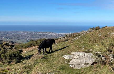 Chalet paisible à la plage, piscine et tennis - Foto 79