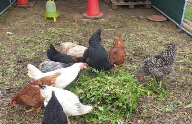 Sondela Self Catering - Foto 25