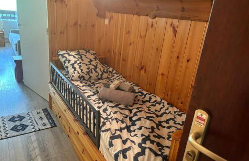 Studio Le P'tit Aigle pied des pistes et télécabine départ ski au pied - Photo 6