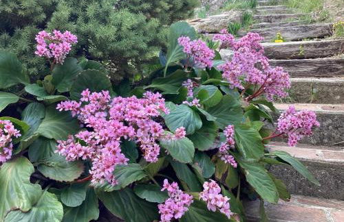 196 rue des moulins - Foto 45