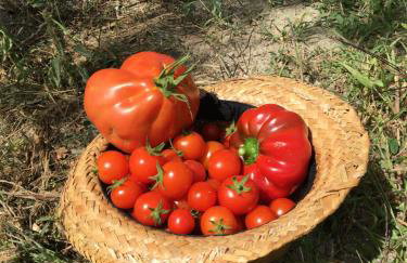 Agriturismo La Casina della Burraia - Foto 63