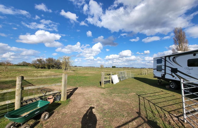 Glamping With Llamas - Foto 68