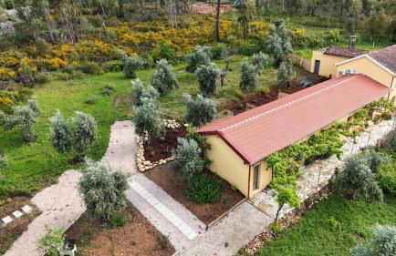 Quinta-lina de serpins - Foto 79