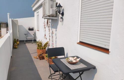 L'àtic dels flamencs - Foto 6