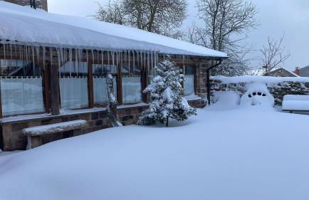 El Rincón de Golobar en Brañosera - Foto 58