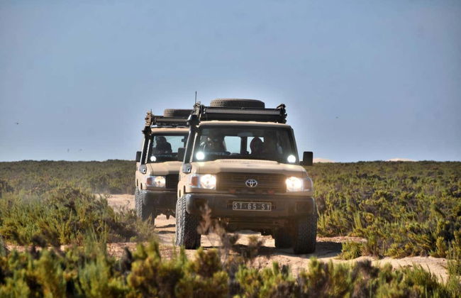 Boa Vista Offroading Tour - Foto 7
