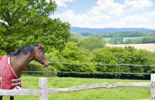 The Peacock Barn - Foto 10