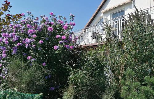Pension Haus Anneliese - Foto 1