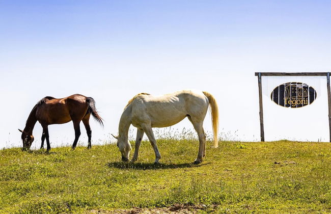 Si-h157-radi0at - Villa Airone 12 - Foto 63