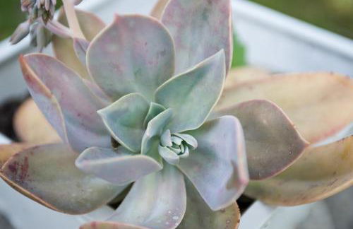 Casavaliversi Appartamenti - Foto 22