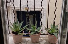 Duplex La Terrasse Jasmin - Photo 49