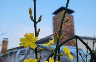 Haus am Walde - Foto 37