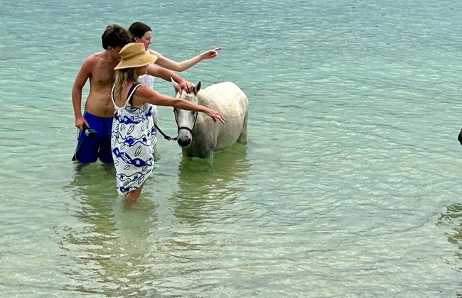 Villa Selalu - Foto 78