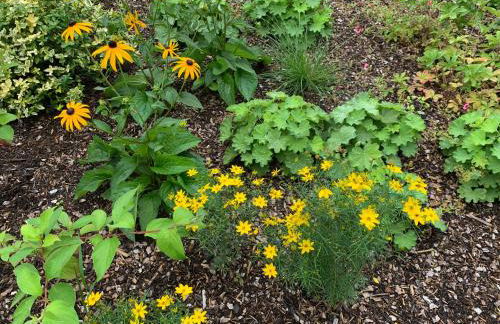 Ferienwohnung Am Haarhaus - Foto 21