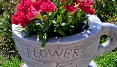 Haus Eschenberg - Foto 3, Garden view