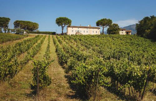 Fattoria Camigliano, Luxury Farmhouse with Pool inside a Wine Estate - Foto 29