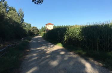 Casa Fresno alojamiento en el campo hasta 5 personas cerca de Salamanca - Foto 53