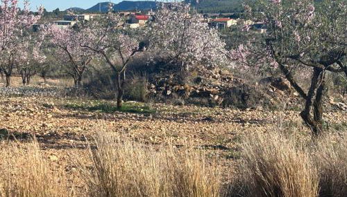 Casa Miranda - Foto 5